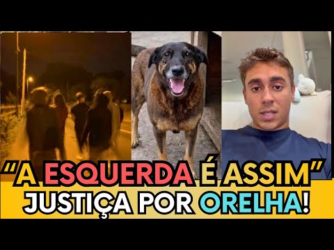 🛑🇧🇷 “ESSES GAROTOS DEVIAM TOMAR UMA SURRA” NIKOLAS FAZ DESABAFO FORTE CONTRA GAROTOS, ASSISTA!