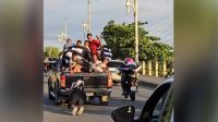 Durante comemoração da Libertadores, torcedor do Botafogo cai de carro; veja