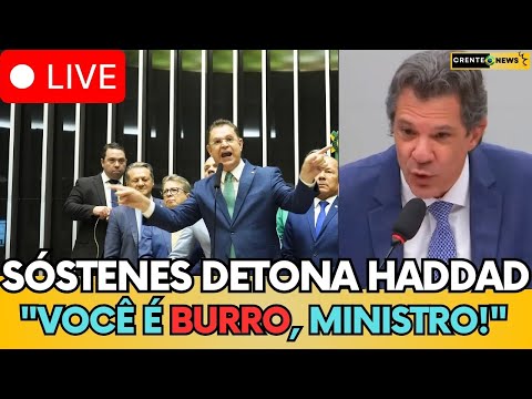 SÓSTENES CAVALCANTE HUMILHA HADDAD AO VIVO: “VOCÊ É BURRO, MINISTRO!”