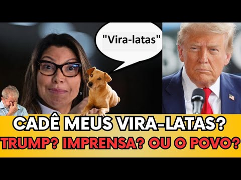🇧🇷 O DEBOCHE DE JANJA: ‘CADE MEUS VIRA-LATAS?’ – A ESQUERDA PERDEU A VERGONHA!